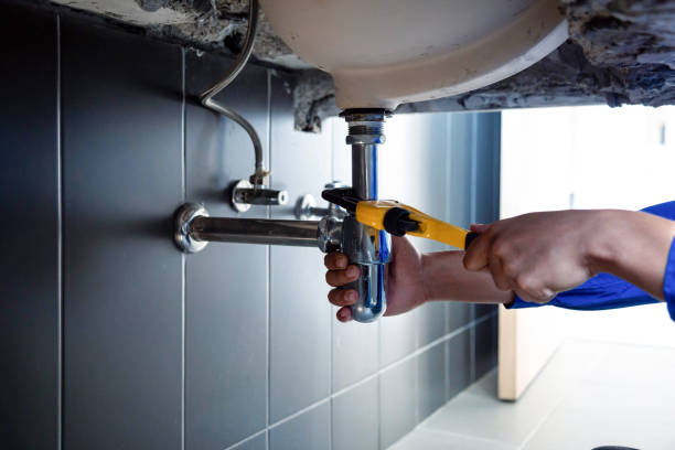 Best Commercial Plumbing Services  in Sherman, TX